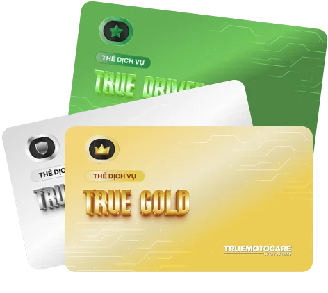 Popup ưu đãi True Member